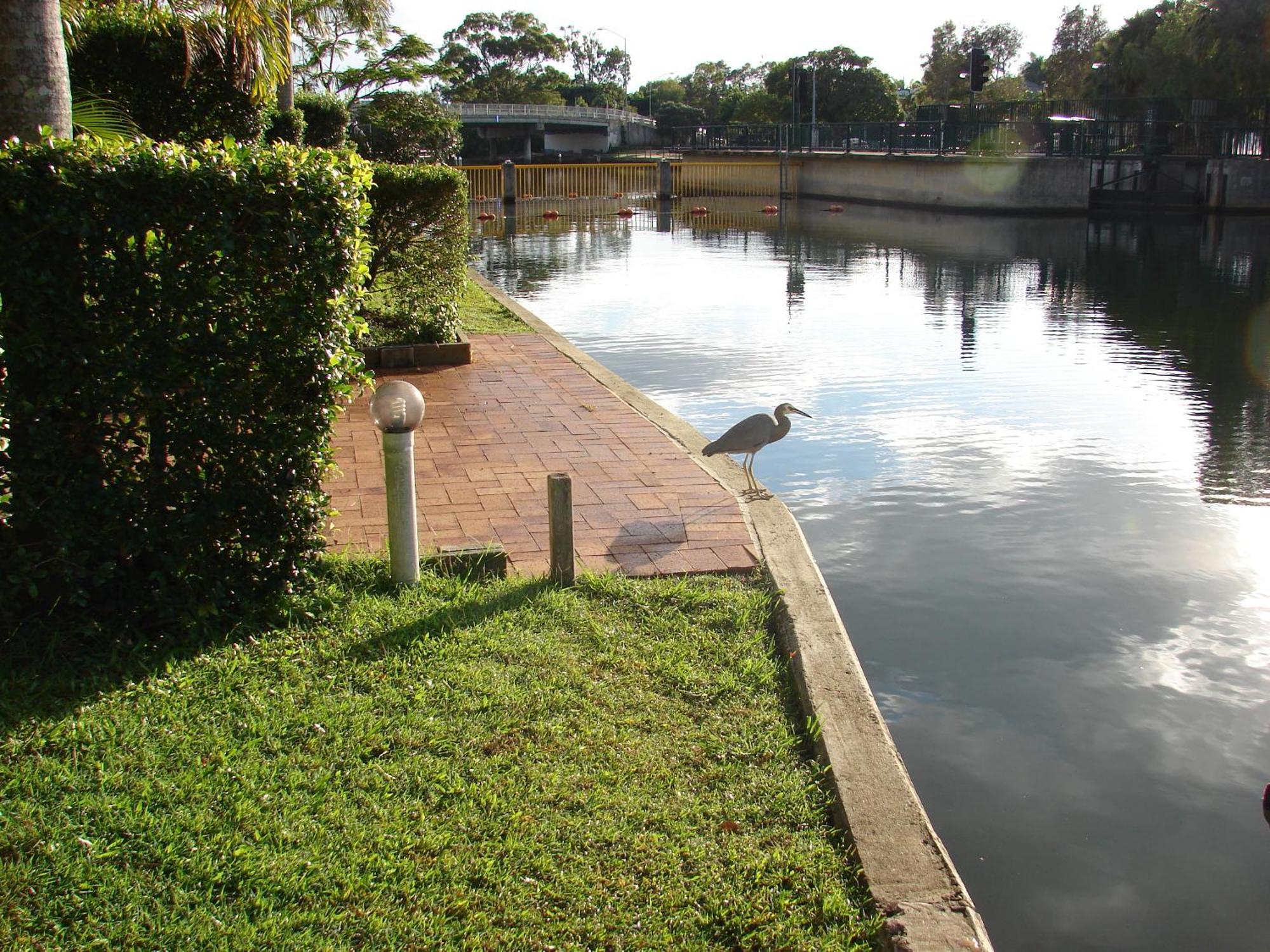 Portside Noosa Waters Hotel Noosaville Exterior photo